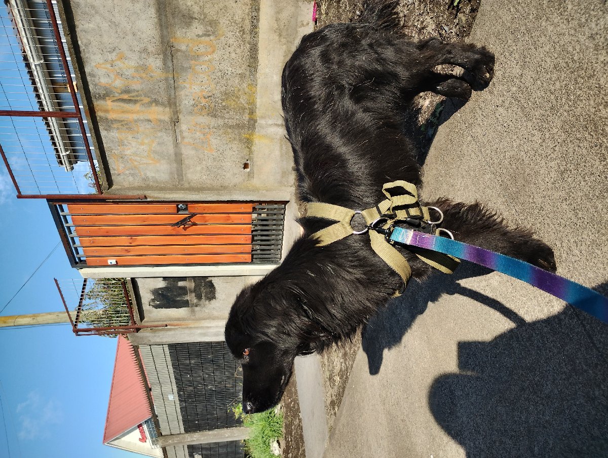 Foto de MAX