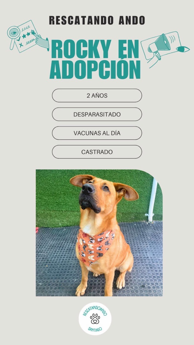 Foto de ROCKY🐾🩵