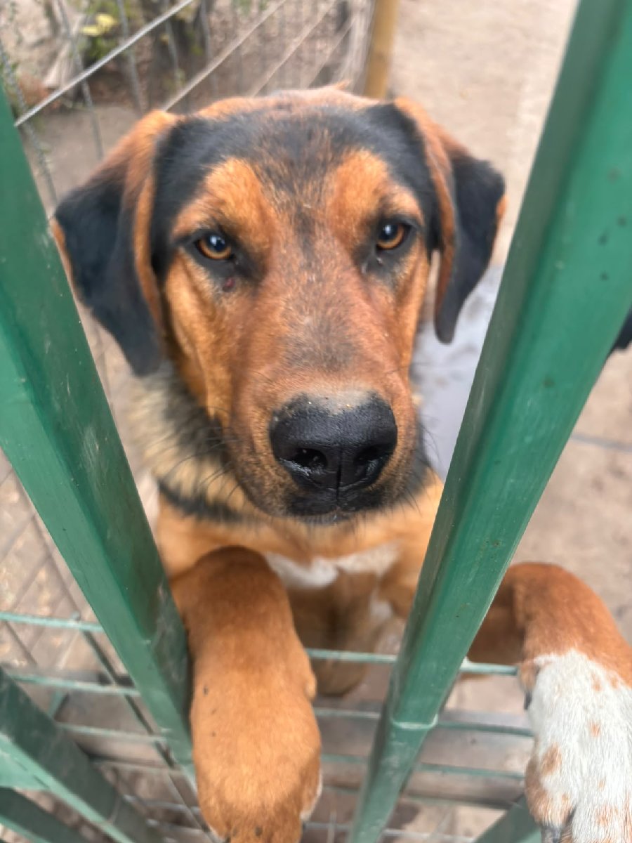 Foto de Junior