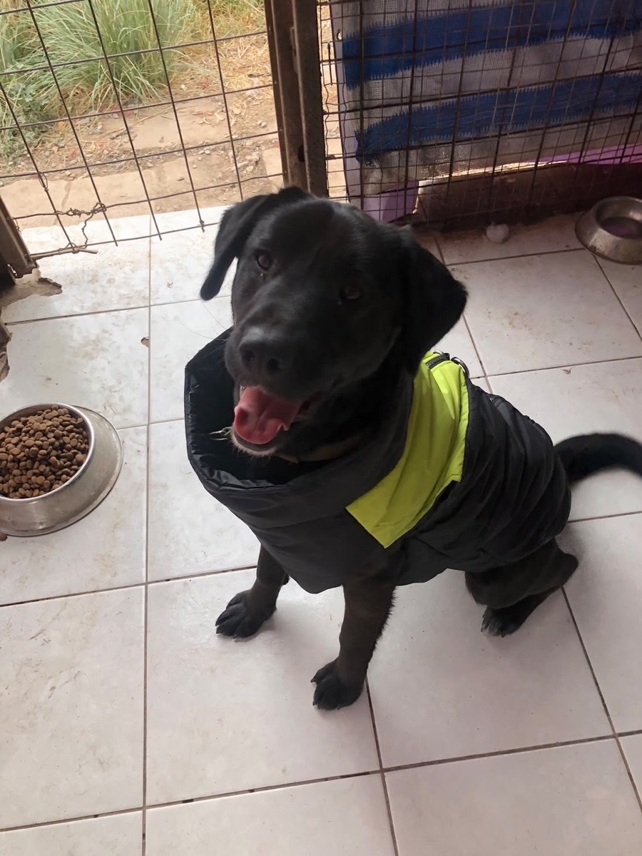 Foto de Romi