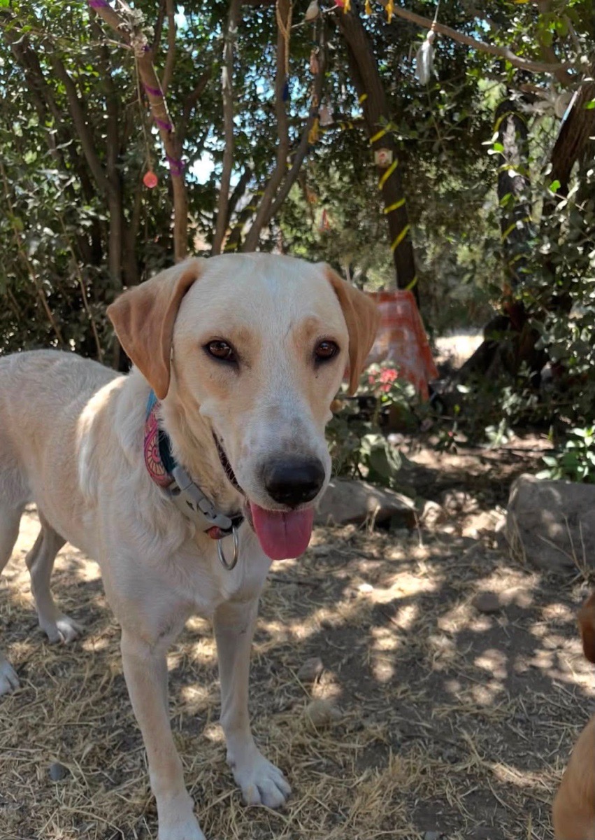 Foto de BIANCA🐾🩵