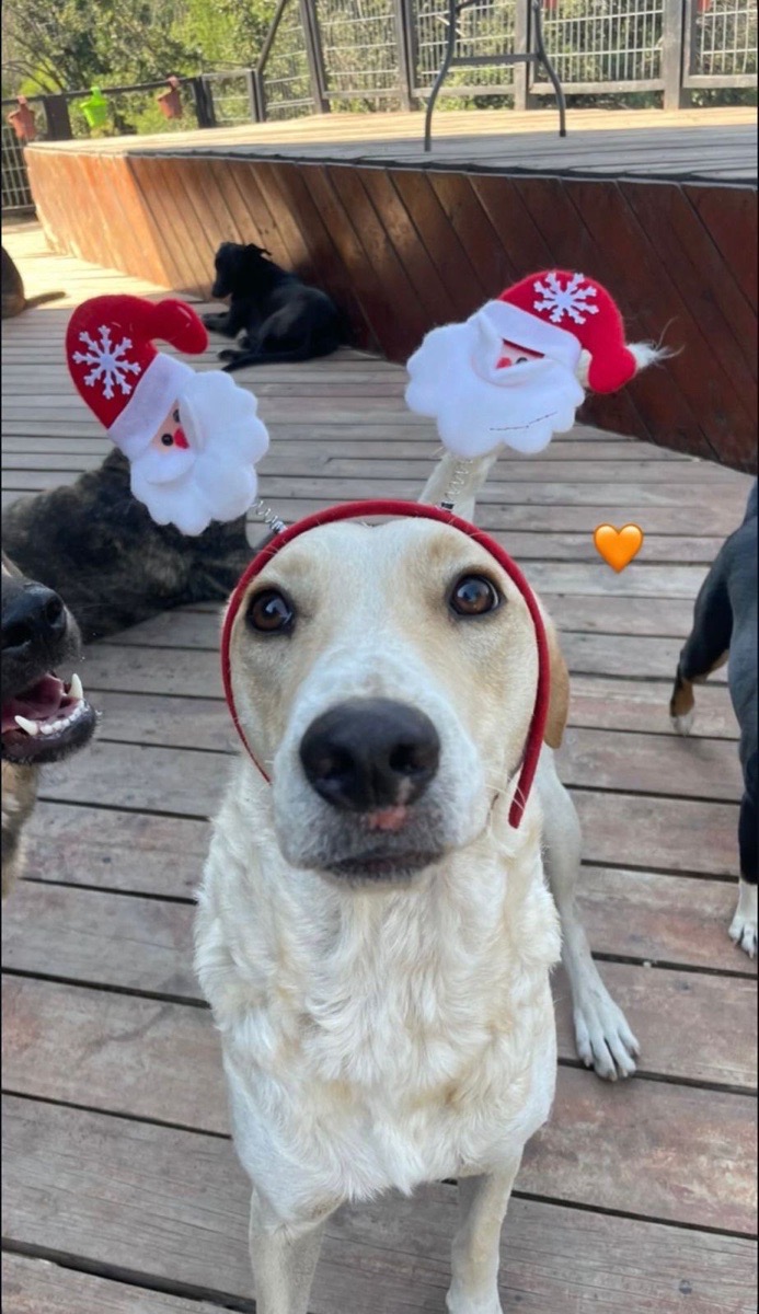 Foto de BIANCA🐾🩵