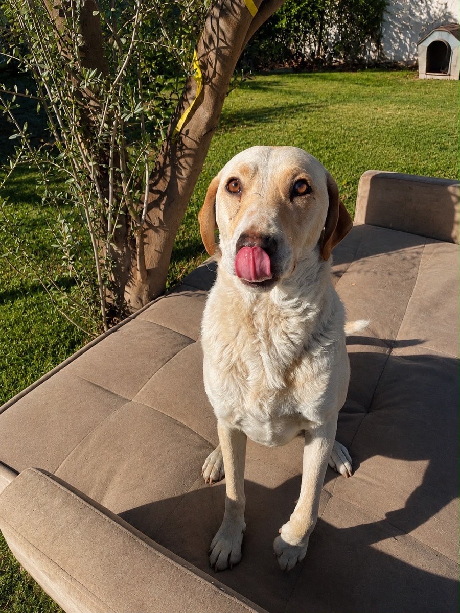 Foto de BIANCA🐾🩵