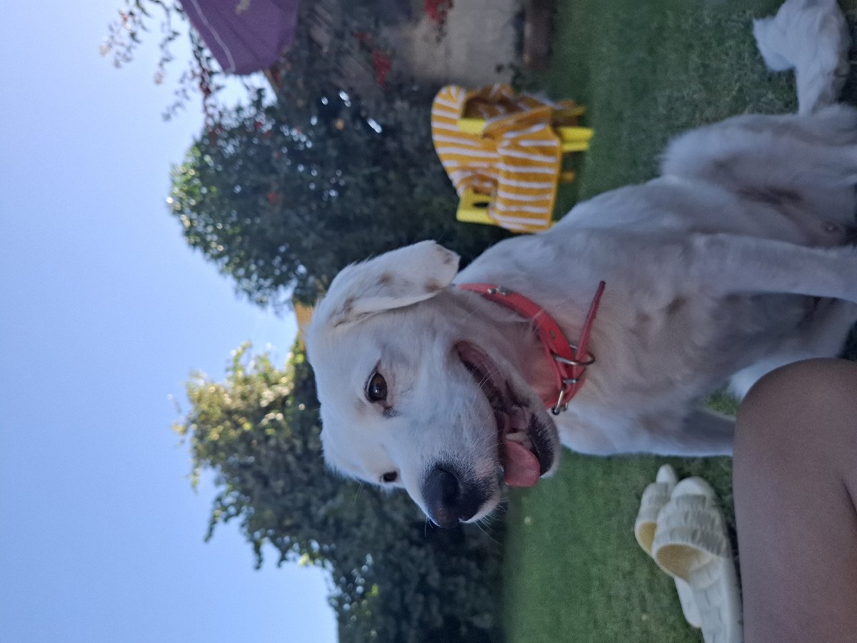Foto de Blanca