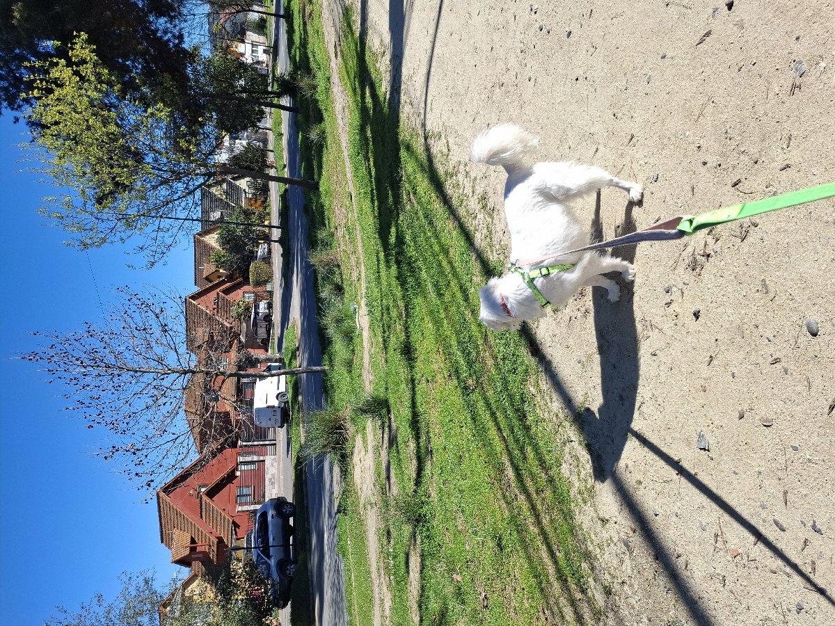Foto de Blanca