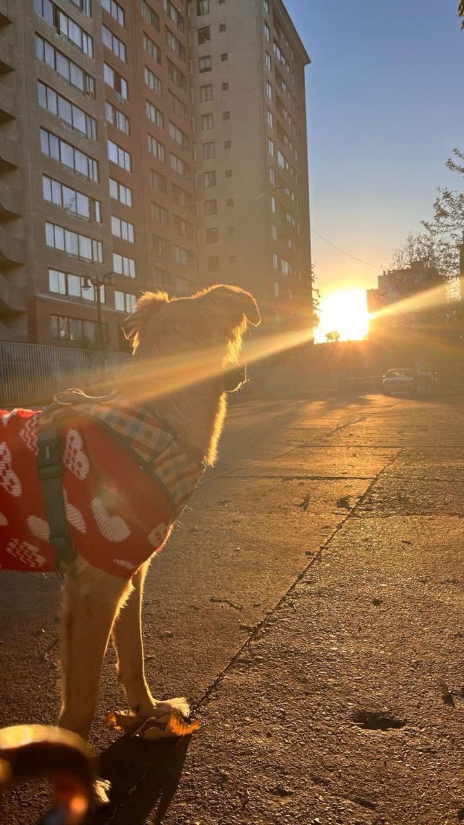 Foto de Sol ☀️💕