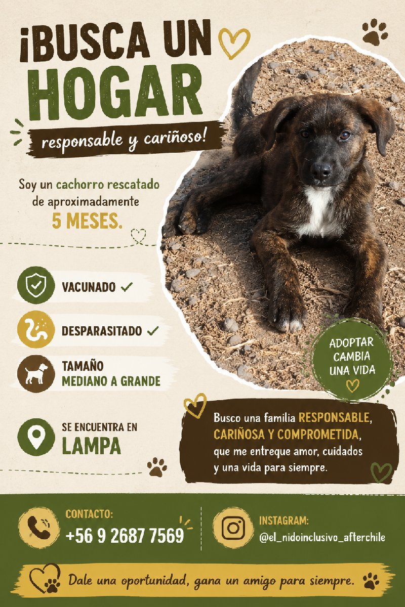 Foto de Perrito
