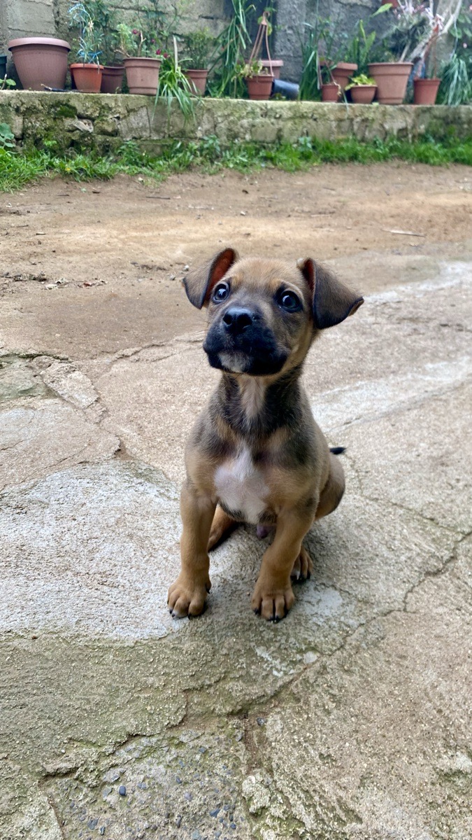 Foto de Chico