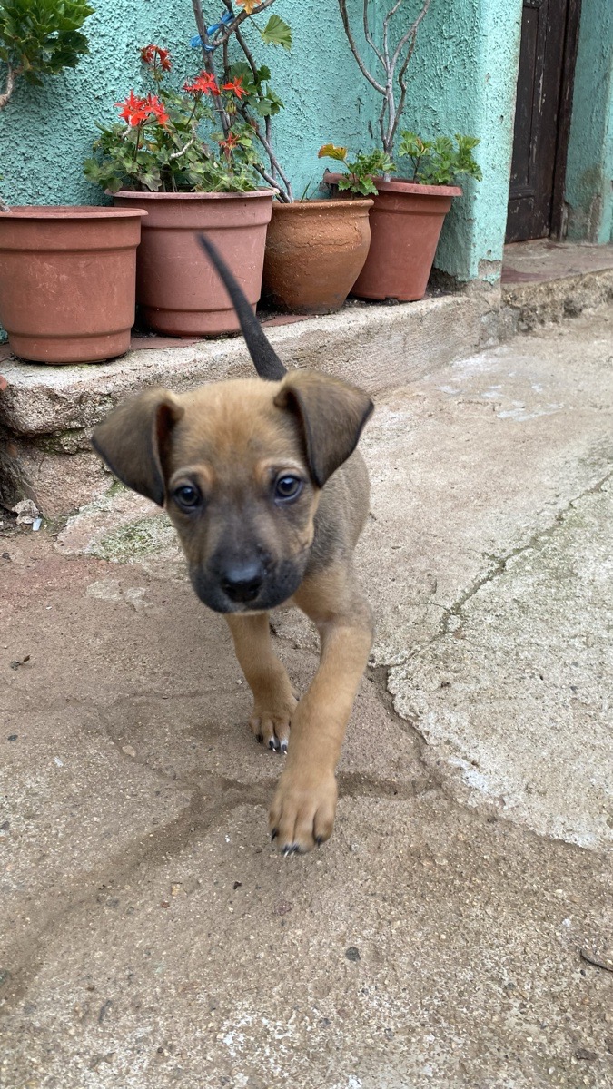 Foto de Chico