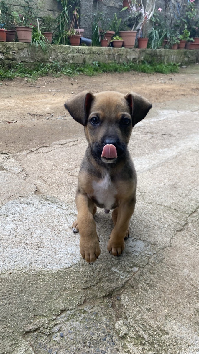 Foto de Chico