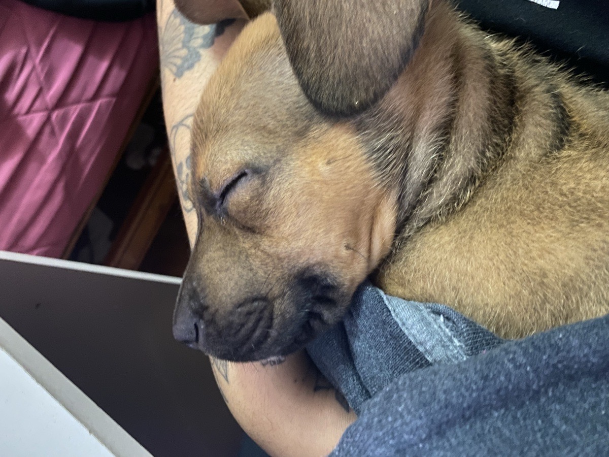Foto de Chico