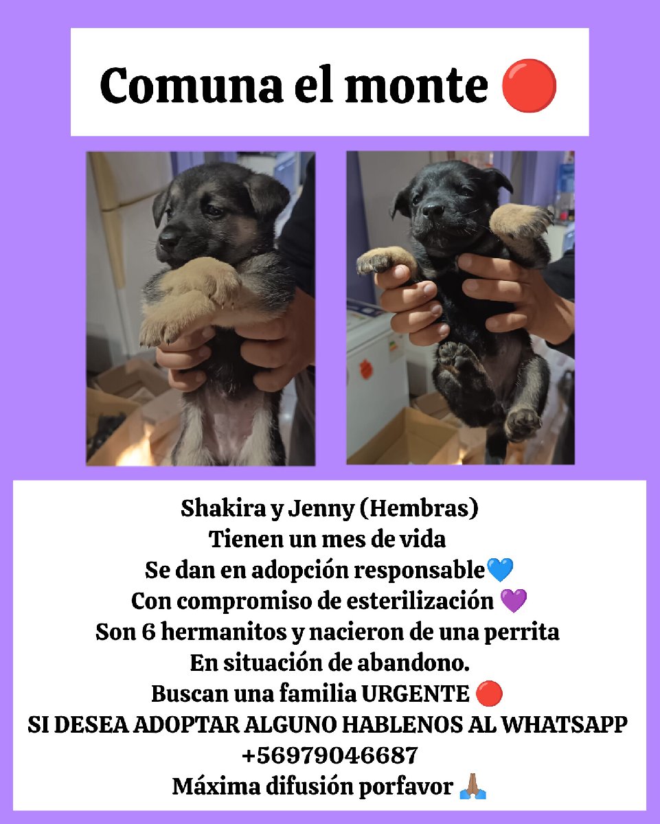 Foto de Shakira y Jenny