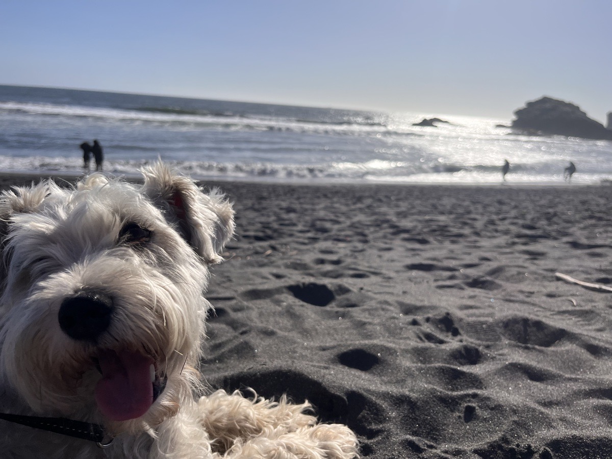 Foto de SOFI