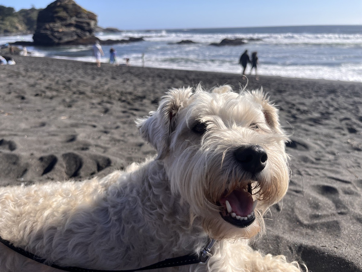 Foto de SOFI