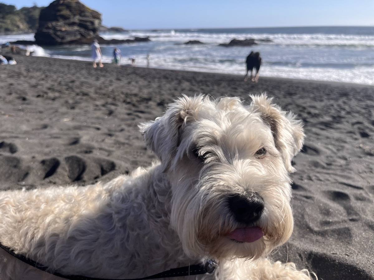 Foto de SOFI