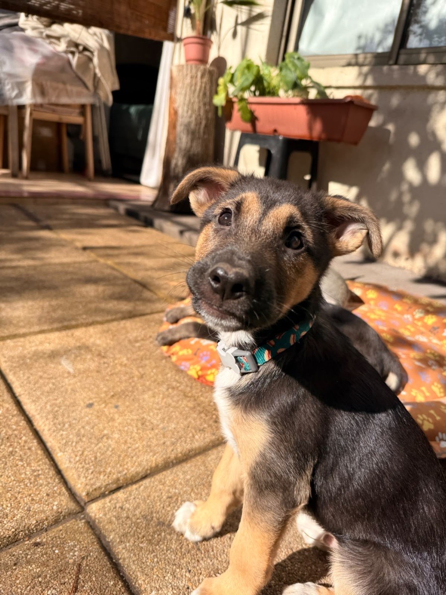 Foto de Bacco