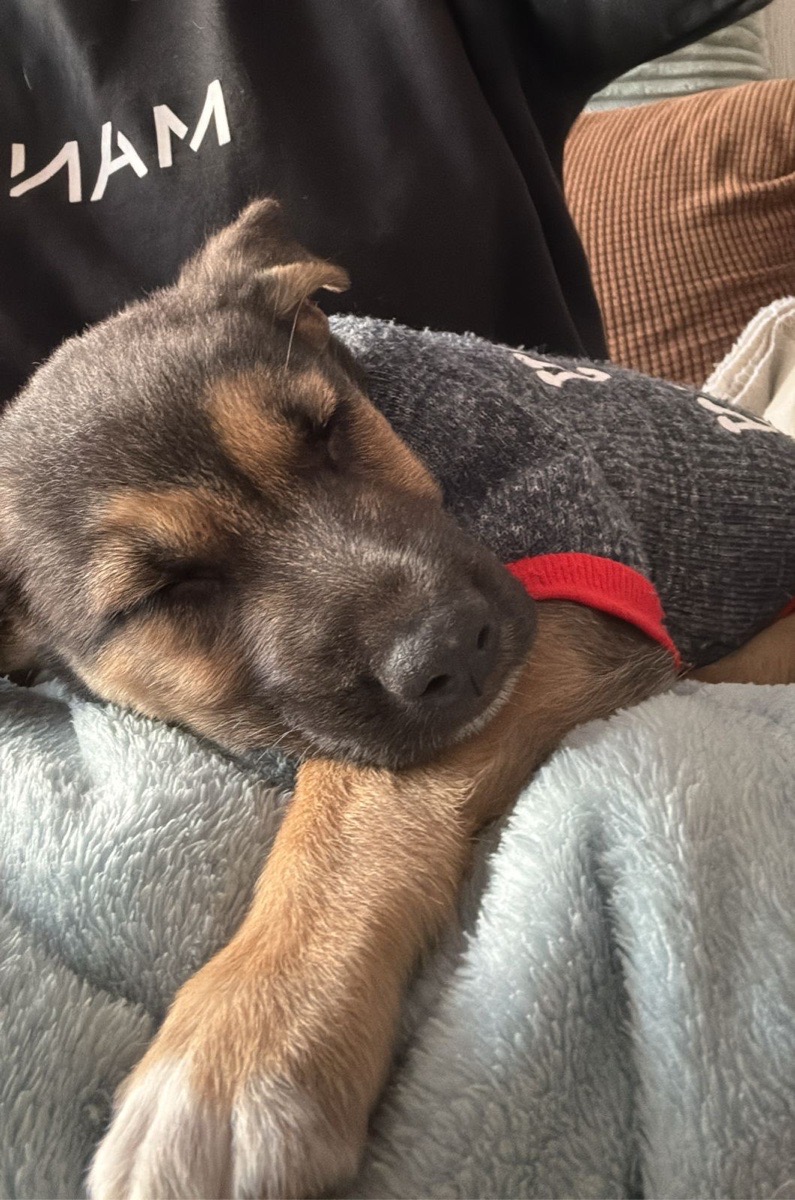 Foto de Bacco