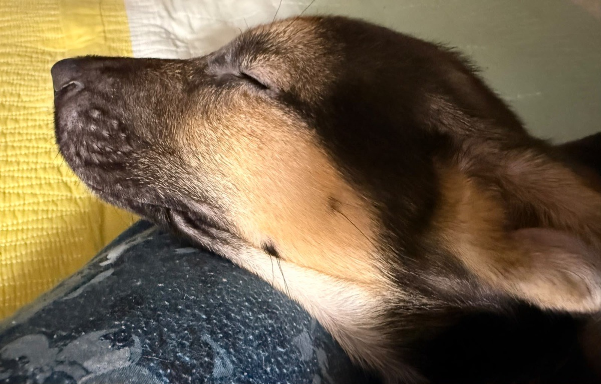 Foto de Bacco