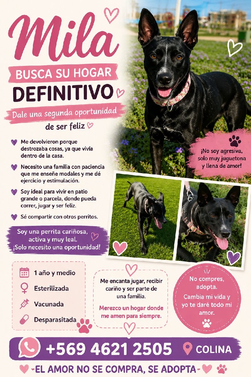 Foto de mila