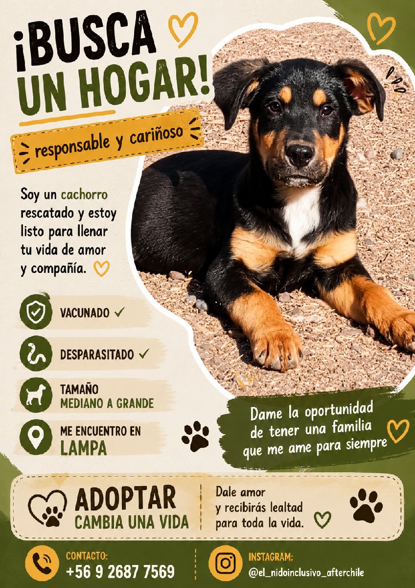 Foto de Perrito