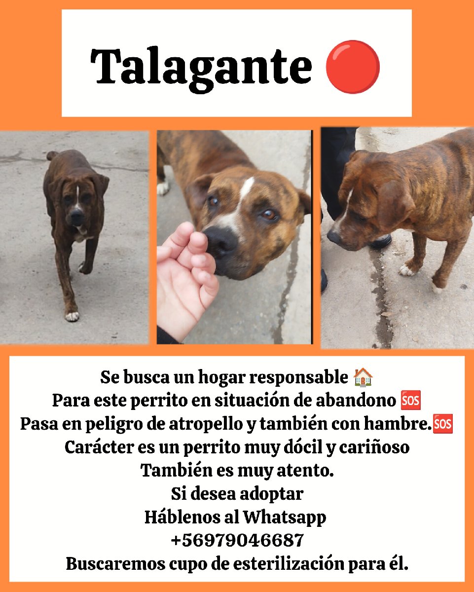 Foto de Pablo
