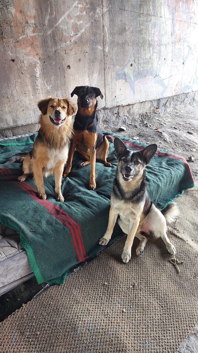 Foto de Yasuri
