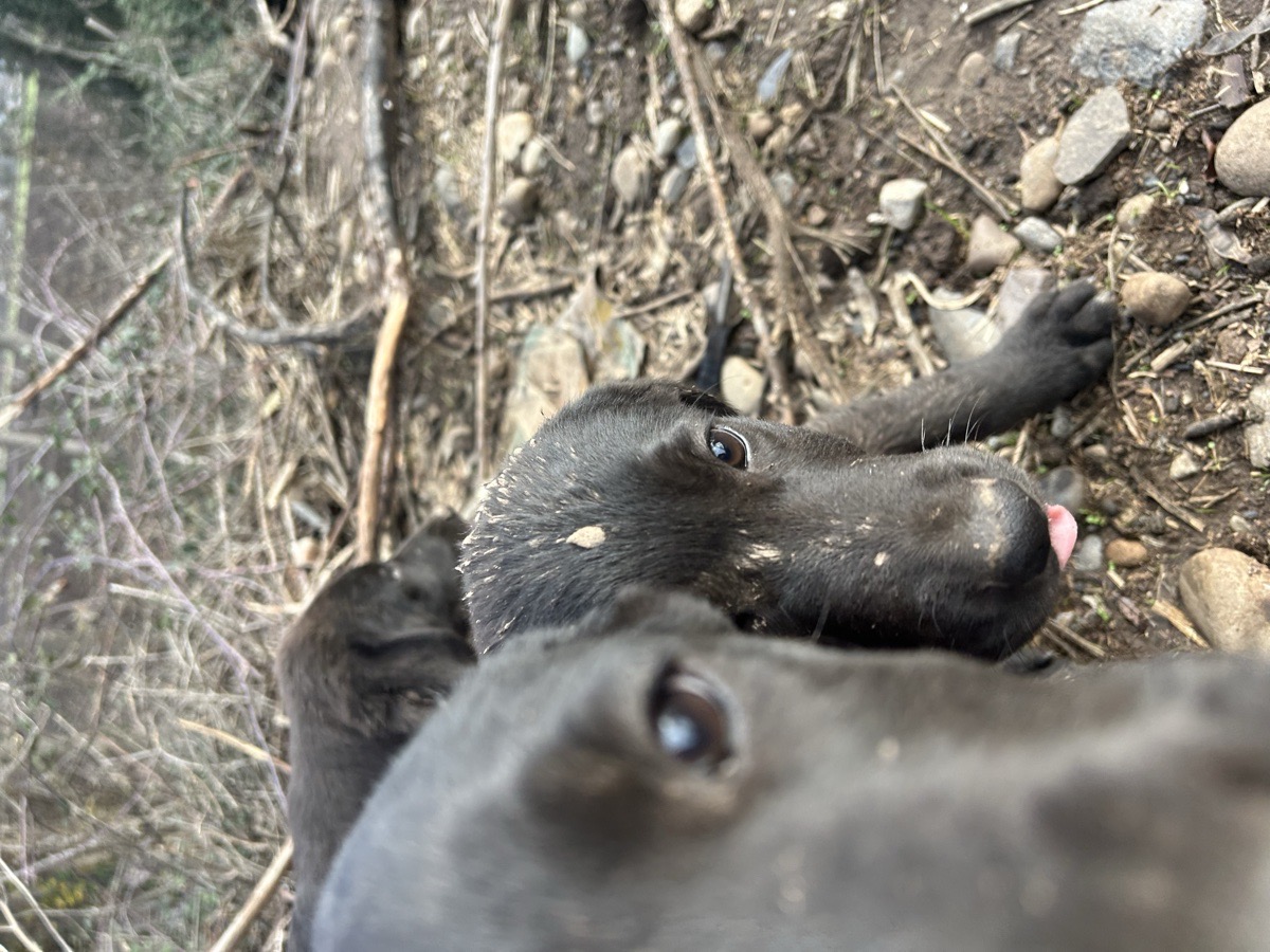 Foto de bebés 🐶🐶🐶