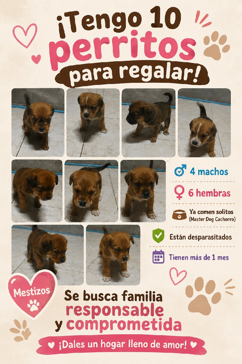 Foto de Perrito