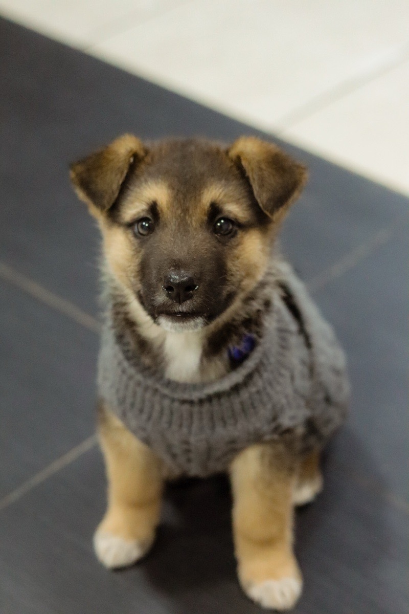 Foto de rolo