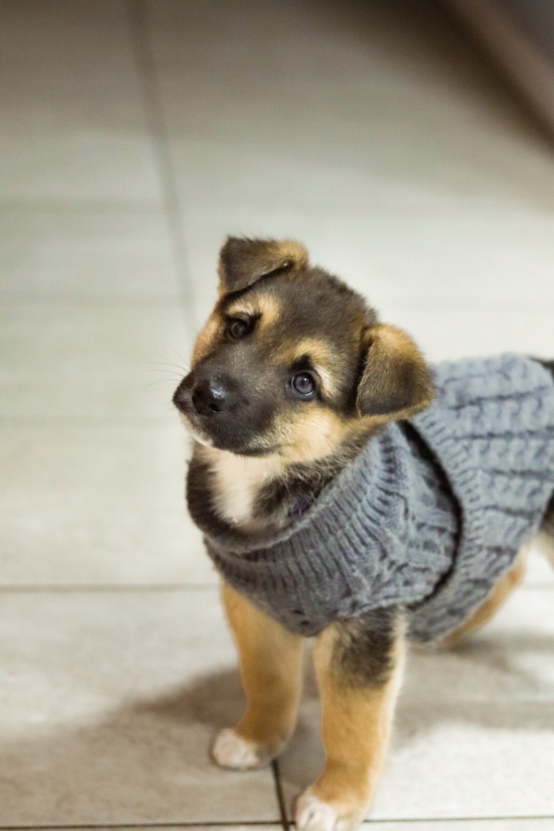 Foto de rolo