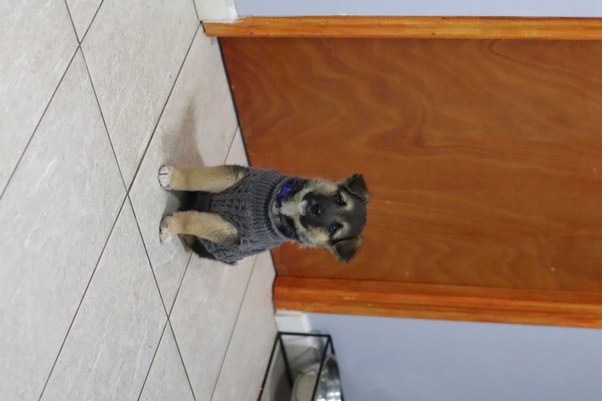 Foto de rolo