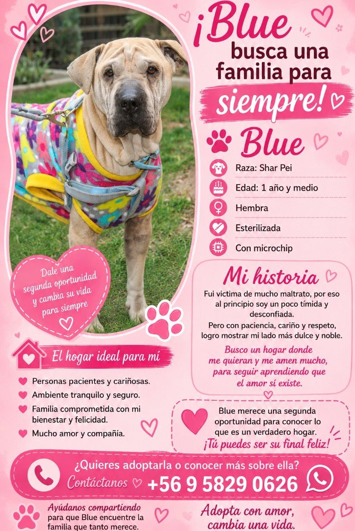 Foto de Blue