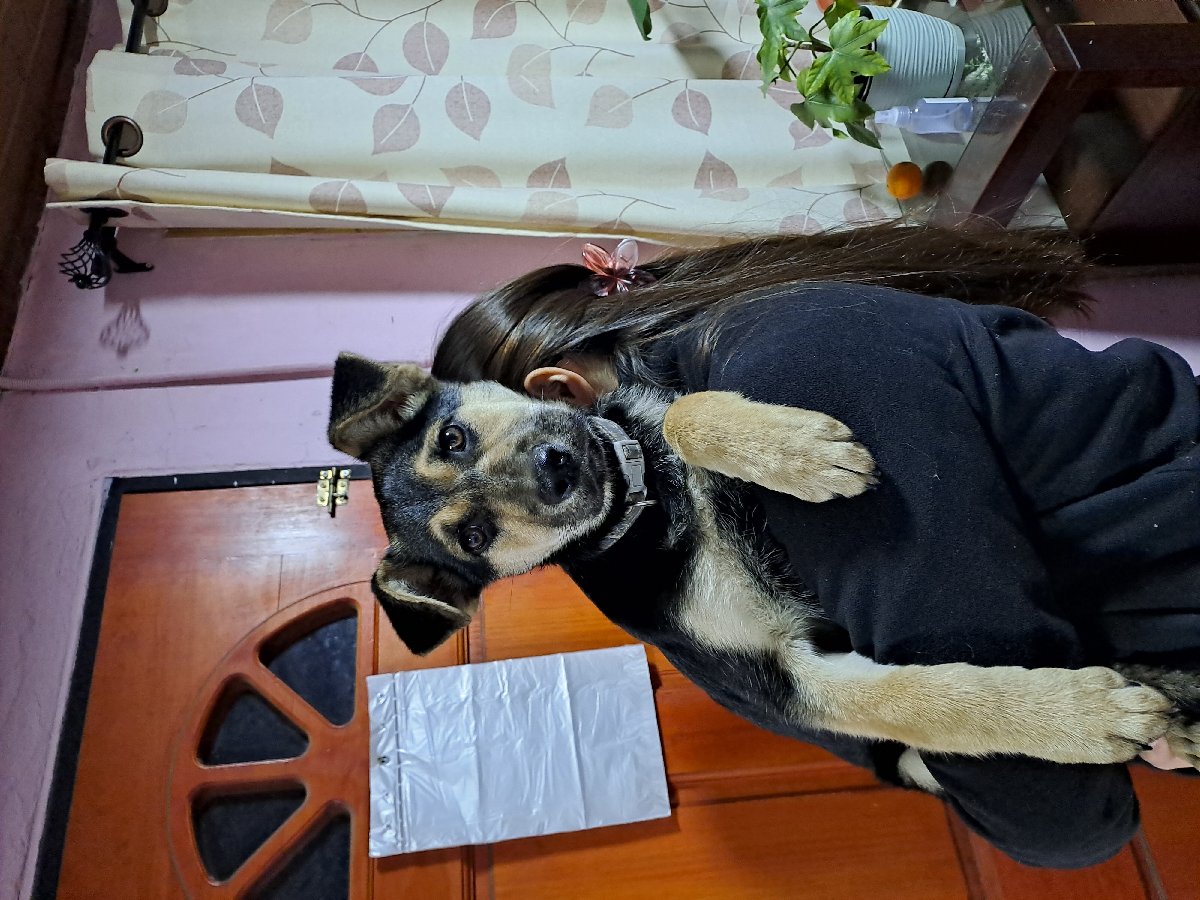 Foto de Kimba