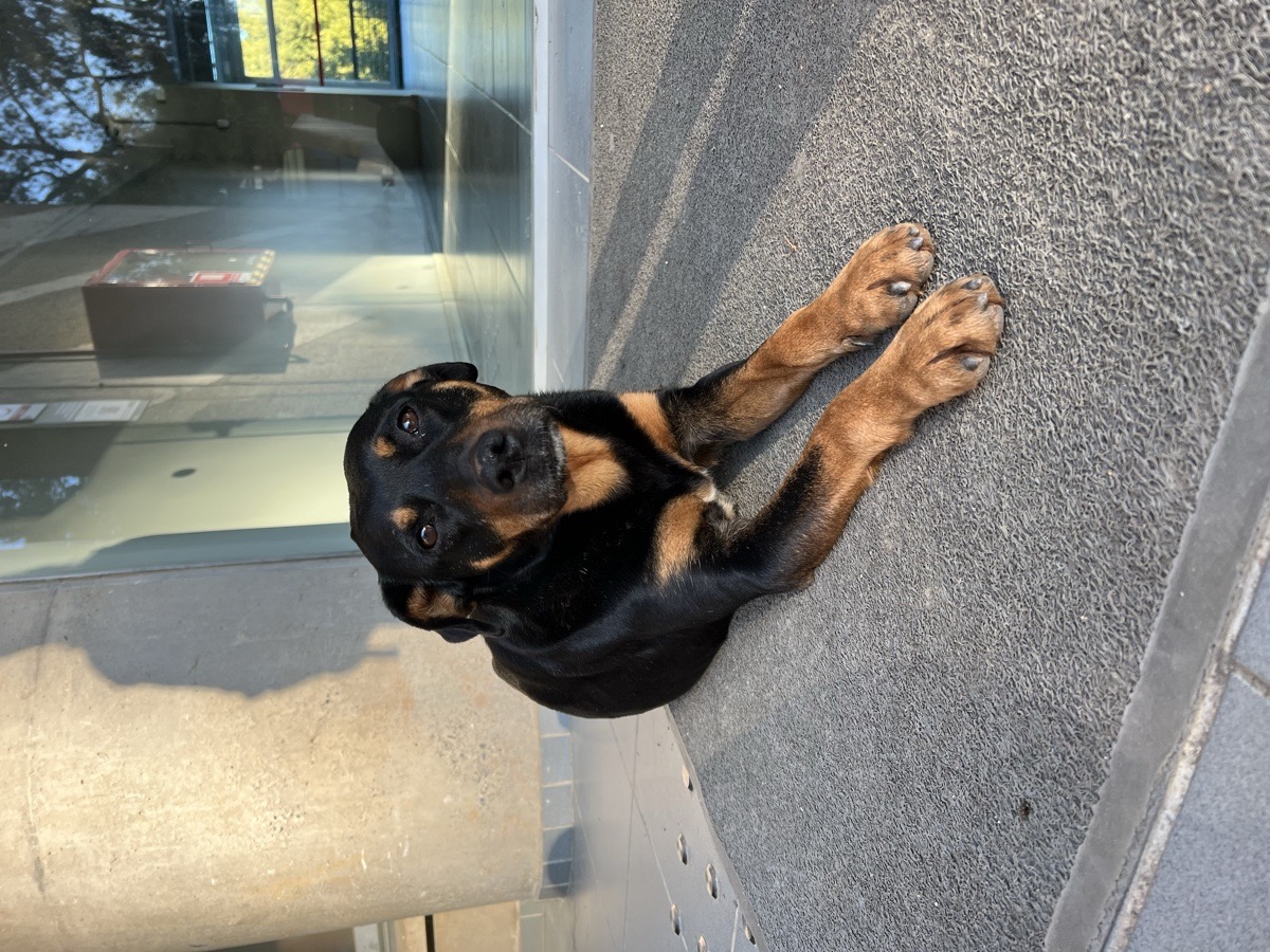 Foto de Lala