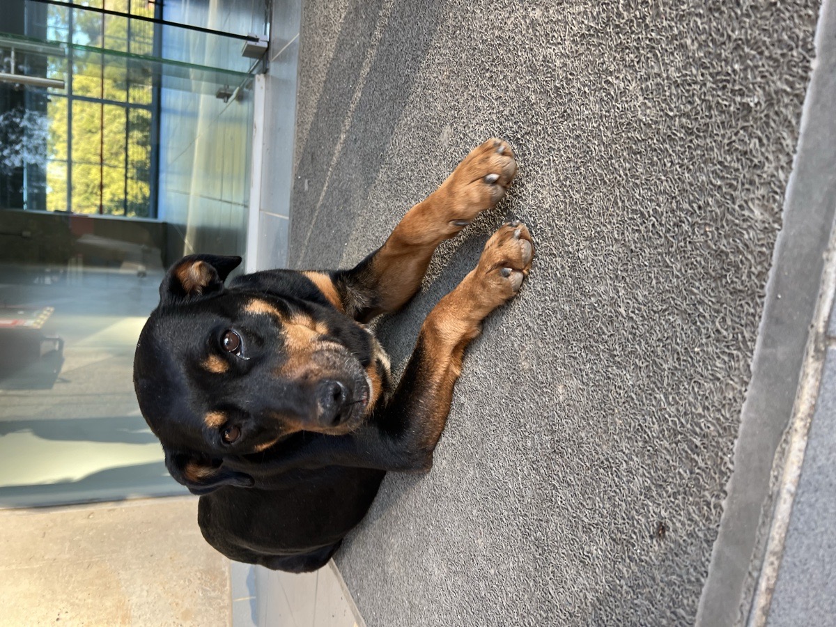 Foto de Lala