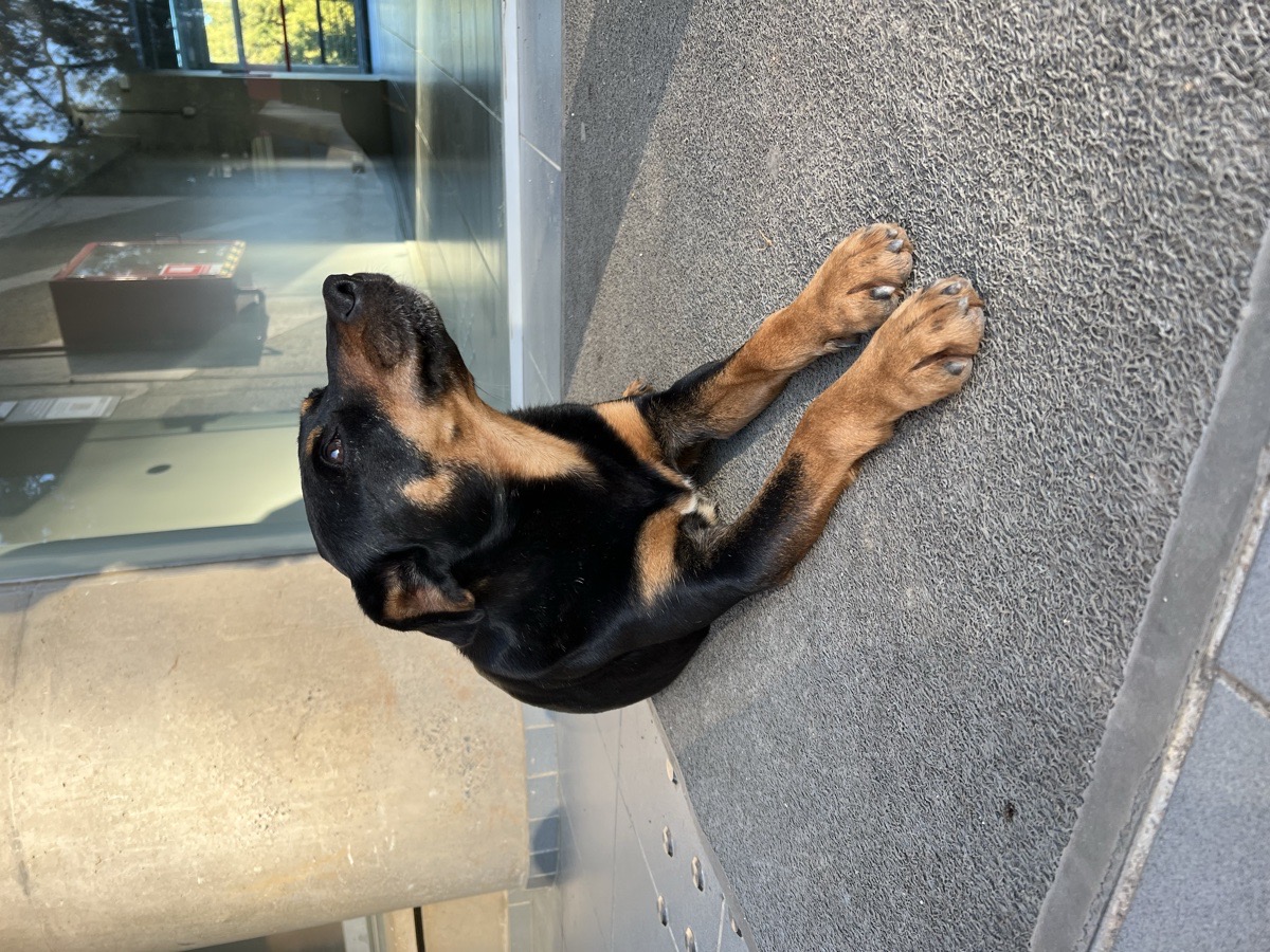 Foto de Lala