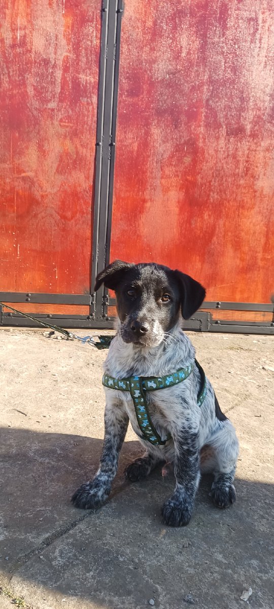Foto de Bito