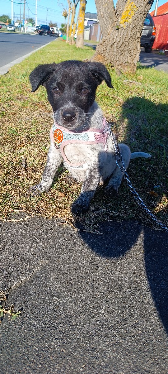 Foto de Bito