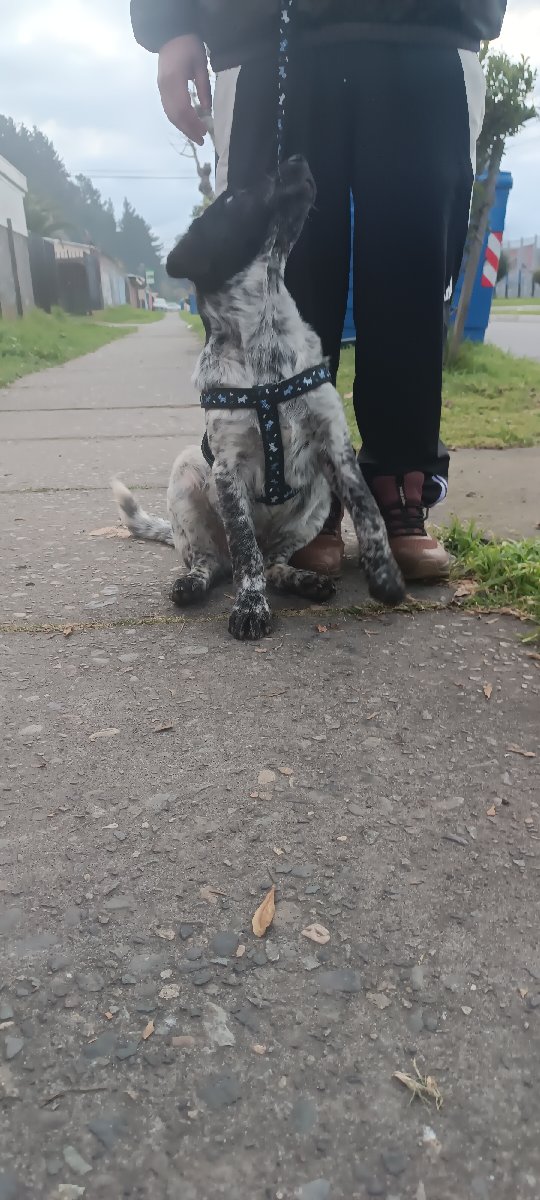 Foto de Bito