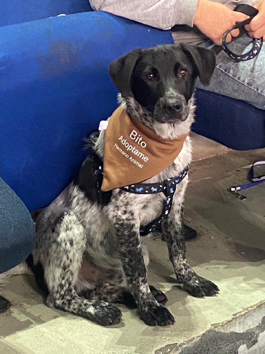Foto de Bito