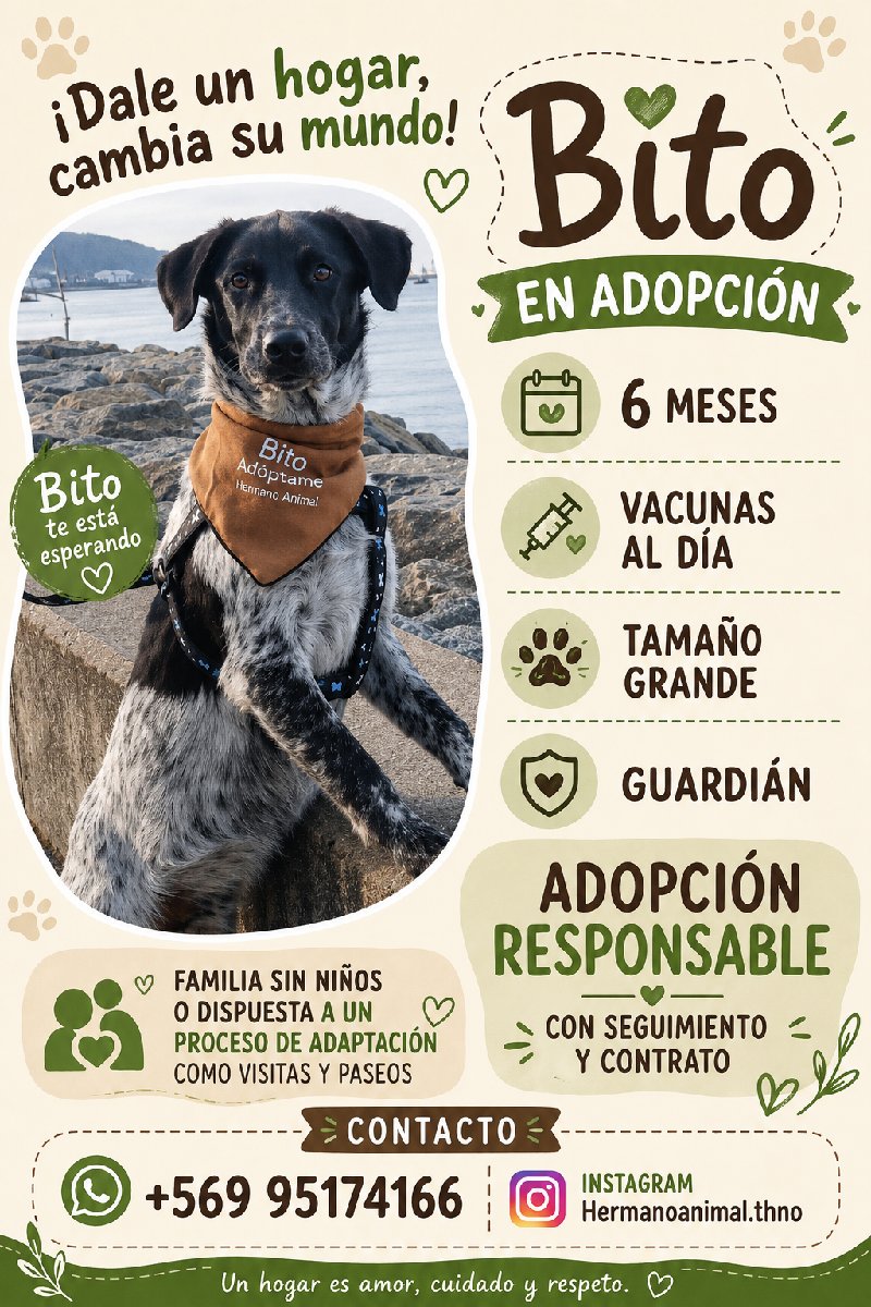 Foto de Bito