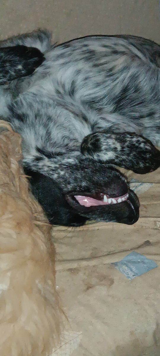 Foto de Bito