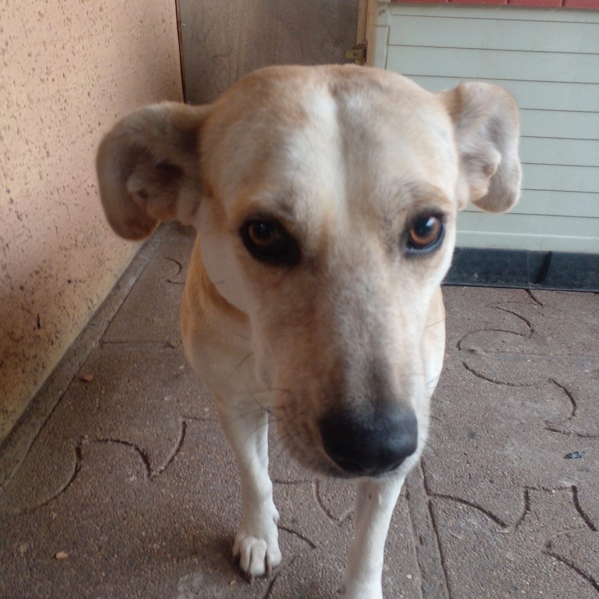 Foto de Blanqui