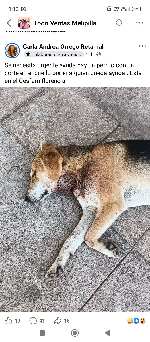 Foto de Pepo