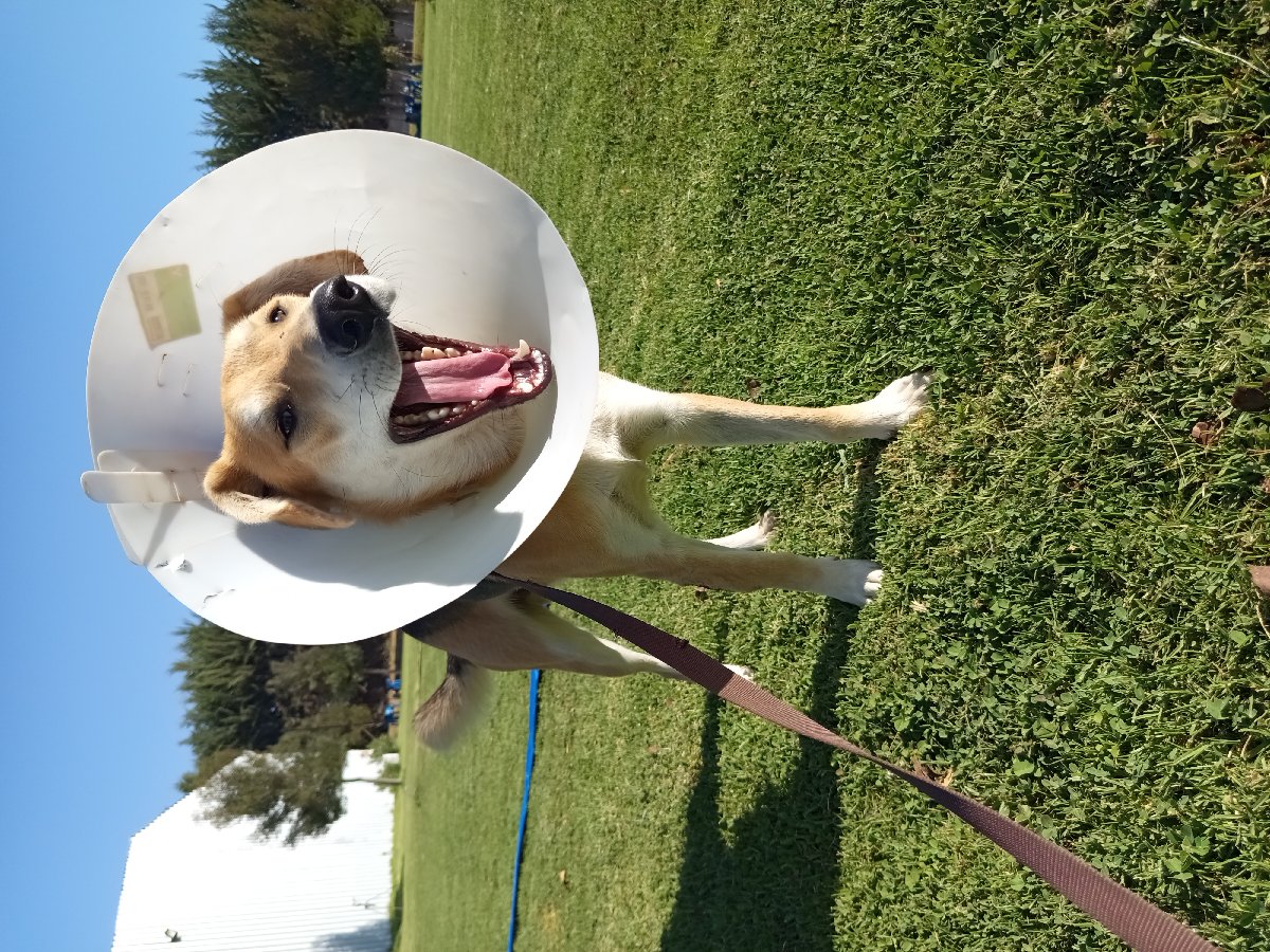 Foto de Pepo