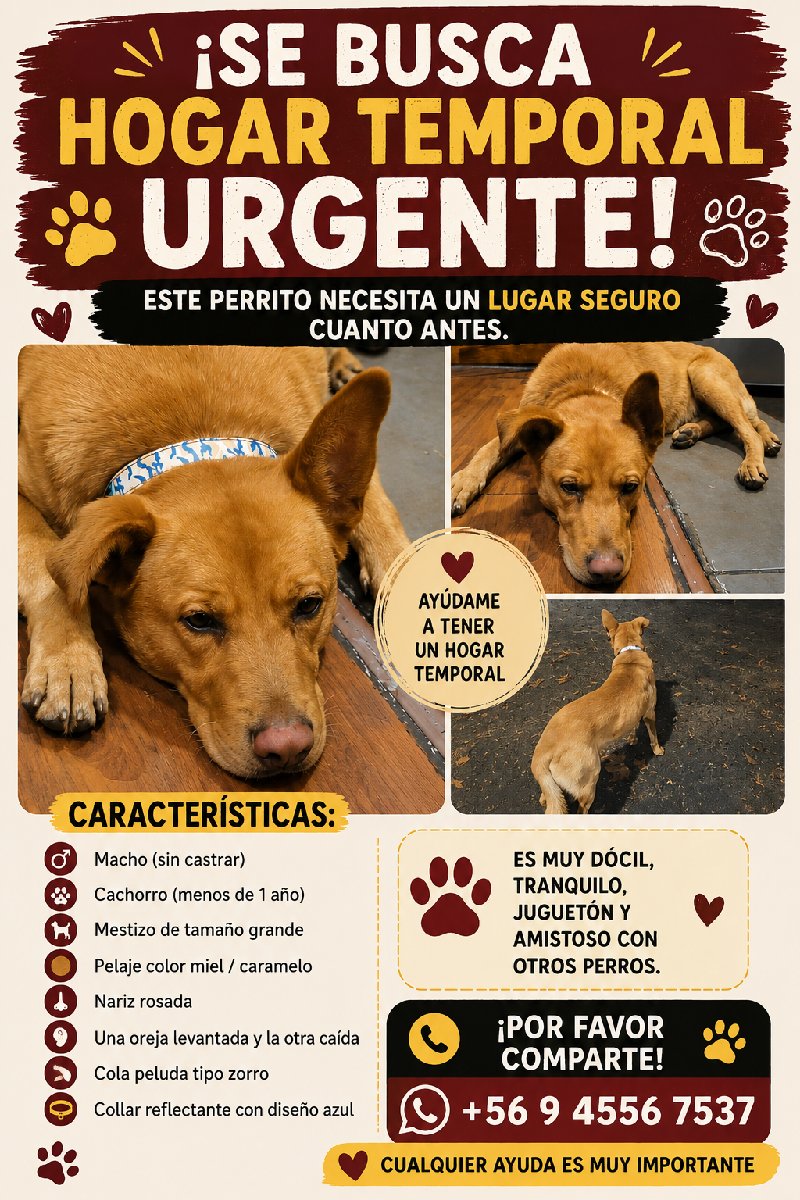 Foto de caramelo