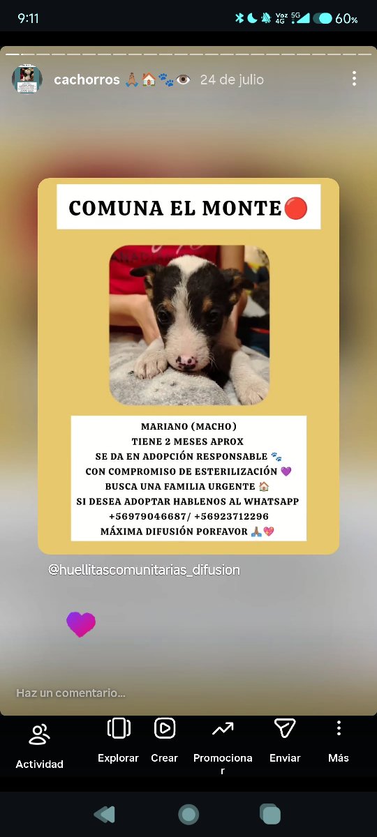 Foto de Mariano y sus hermanitos buscan una familia urgente 🔴
