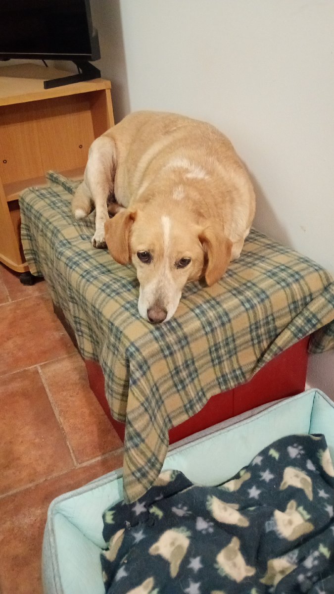 Foto de MILY