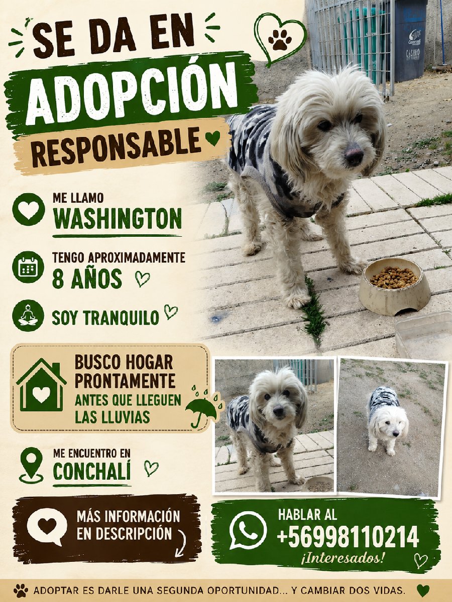 Foto de Perrito