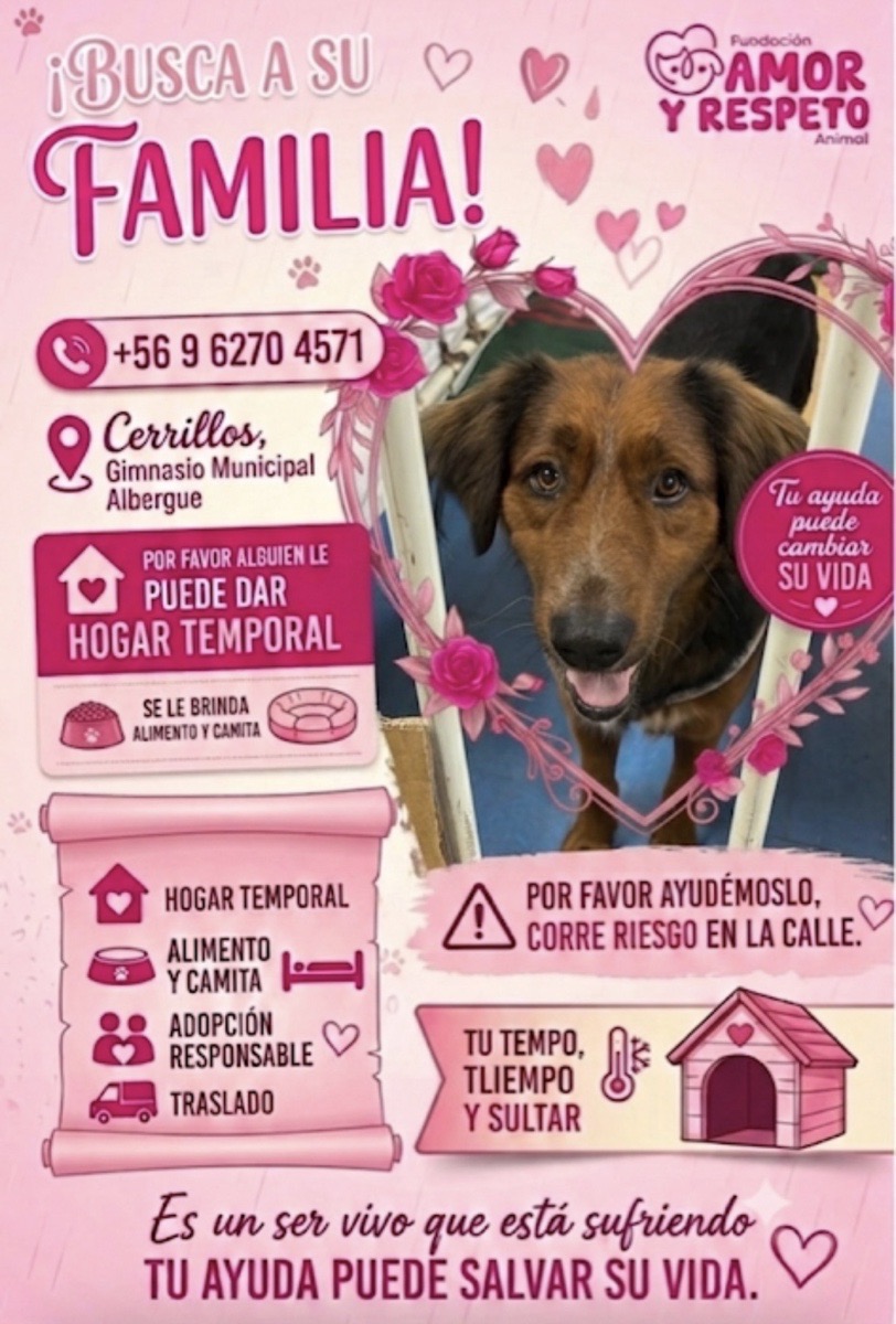 Foto de Chocolata